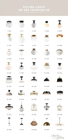 the different types of lamps are shown in this poster, which is also available for purchase