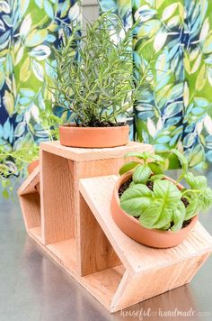 two potted plants are sitting on wooden shelves