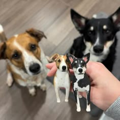 three dogs are being held by someone's hand in front of two other dogs