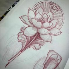 a pencil drawing of a flower on paper