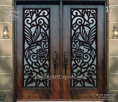 the front door to a home with decorative iron work on it's glass panels