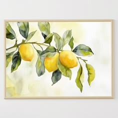 a watercolor painting of lemons on a tree branch with green leaves and yellow background