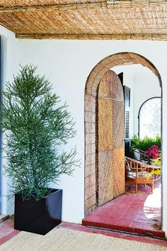 an open door leading to a patio with a potted plant