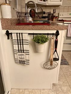 a potted plant is hanging on the kitchen counter