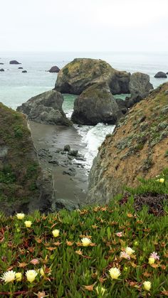 some rocks and flowers by the ocean on a foggy day with no one in it