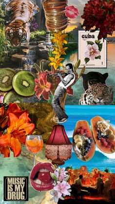 a collage with flowers, plants and animals on it's sides is featured in this image