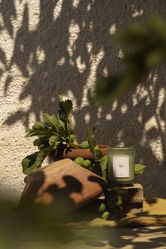 a candle sitting on top of a wooden table next to a potted plant with green leaves