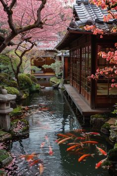 Japanese Home Outside, Japanese Houses Aesthetic, Japanese Landscape Aesthetic, Japanese Garden Room, Japan Room Design, Chinese Zen Garden, Japanese Building Aesthetic, Japanese Architecture Aesthetic, Japanese Ancient Architecture