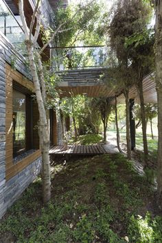 the house is surrounded by trees and grass