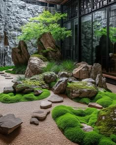 an indoor garden with moss growing on the rocks