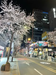 an empty city street at night with cherry blossoms on the trees and buildings in the background