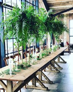 a long wooden table topped with lots of plants