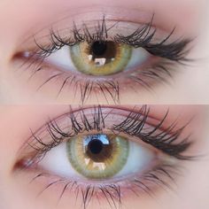 LA GIRL Green Colored Contact Lenses – beaueye Green Cosmetics, Color Contact Lenses, Eyes Color