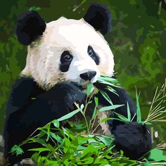 a panda bear is eating bamboo in the wild with green leaves on it's back