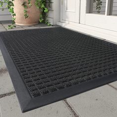 a black mat is on the ground in front of a door and potted plant