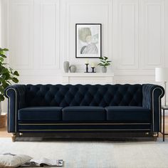 a living room with white walls and a blue couch in front of a fireplace on the floor