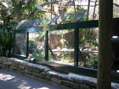 a glass wall in the middle of a garden area with trees and plants behind it