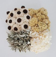 four different types of flowers are arranged in the shape of a flower arrangement on a white surface