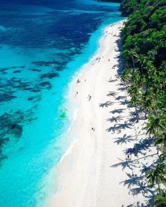 an aerial view of a beach with people walking on the sand and palm trees in the water