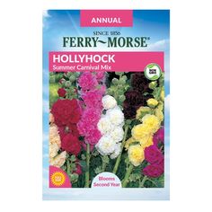 an annual flower seed packet with flowers in it