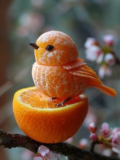 an orange with a bird on top of it