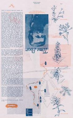 an article in a magazine with images of flowers and plants on the page, including trees