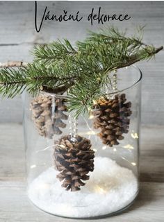 some pine cones are in a glass jar filled with snow