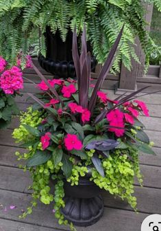 pink flowers and green leaves in a black pot on a wooden deck next to a planter