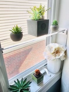 some plants are sitting on a window sill