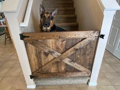 a dog is sitting on the stairs and looking out from behind an open wooden door