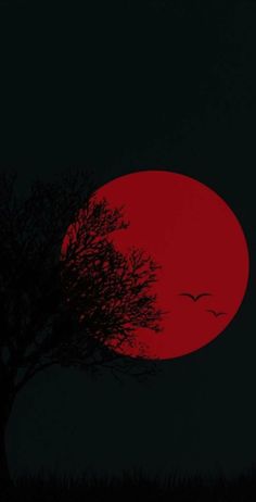 the sun is setting behind a tree and birds are flying in the dark night sky