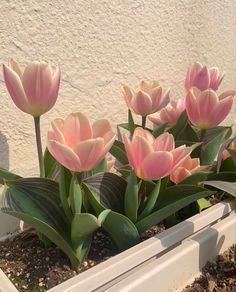 some pink flowers are in a white planter