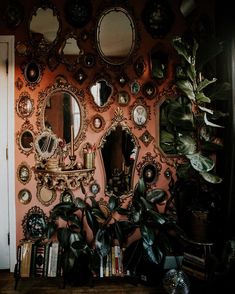 there are many mirrors on the wall and some plants in front of them, along with other decorations