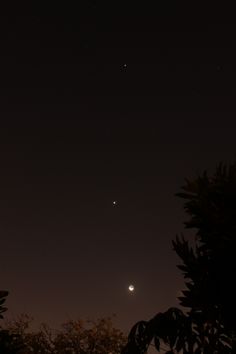 the moon and venus are visible in the night sky above some tree branches with leaves on them