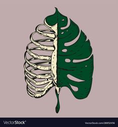 a skeleton and a large green leaf on a gray backgrounnd background illustration