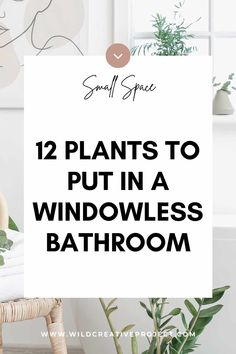 a bathroom with plants in it and the words, 12 plants to put in a windowless bathroom