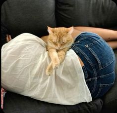 a woman laying on top of a couch with a cat sleeping on her stomach next to her