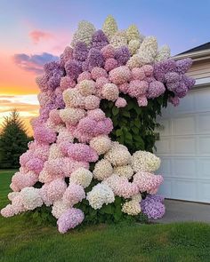 a large group of flowers in front of a white garage door at sunset or dawn