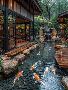 a large pond with many koi fish in it