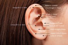 an ear is shown with measurements for each part