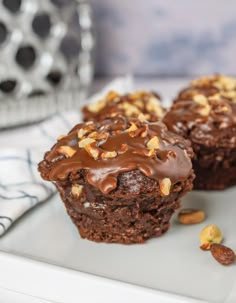 two chocolate muffins with nuts on a plate