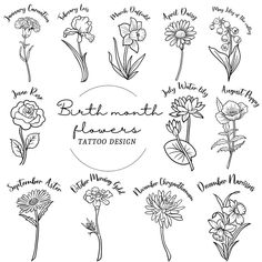 the different flowers that are drawn by hand