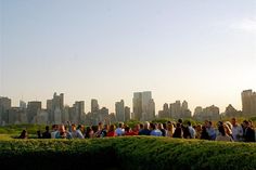 a group of people standing on top of a lush green field next to tall buildings