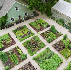 an aerial view of a vegetable garden with various plants and vegetables in the center, surrounded by two buildings