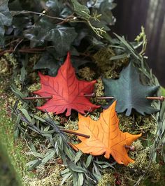 three autumn leaves laying on top of moss