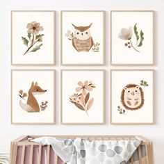 four animal prints are hanging on the wall above a crib