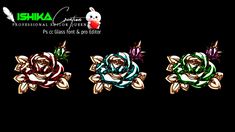 three different colored roses on black background with the words shika written in white and green