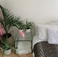 some plants are sitting on a glass table next to a white bed with leopard print sheets