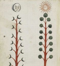 two drawings of trees with sun and moon on them