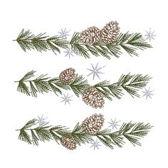 three pine cones and two snowflakes are shown on the side of a white background